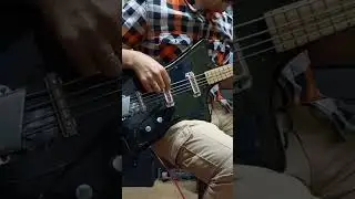 Krunk Ani bass Крунк Ани бас #rare #rarebass #rareguitar #крунк #krunk #shorts #shortsvideo