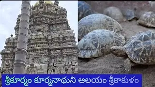 ప్రపంచంలోనే ఏకైక కూర్మనాధుని ఆలయం||శ్రీకూర్మం  శ్రీకాకుళం||