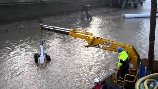 CPBS Multicat Gundog with UMC Divers at the London Eye
