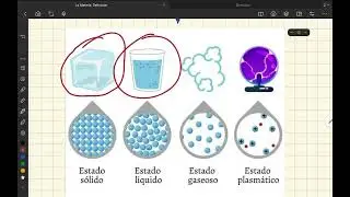Los Estados de la Materia 
