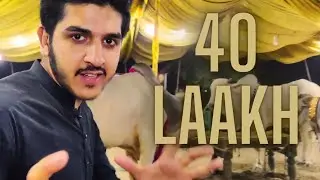 First Vlog ft Mandi 2023 🐂❤️
