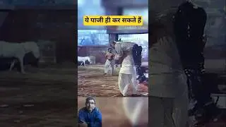 dharam 💪 ने shetty को उठा liya #bollywood #hindimovi #actionmovi #sunnydeolmovi #dharmendra #shorts