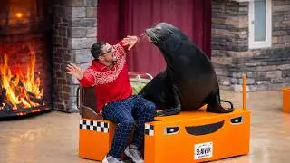 Sea Lion & Otter Performance Full Show | Holiday Countdown Show SeaWorld Orlando 2025