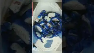 Guylian sea horses truffle| belgian chocolate| world's best selling |French chocolate #shorts