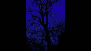Free Sad Type Beat - 