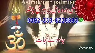 Famous Vedic Astrologer in UK | Palm Reading & Birth Chart Analysis, Best Amil Peer Baba 