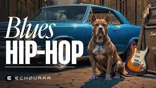 Blues Guitar Hip Hop Flow | Dreamy Music for Study and Relaxation