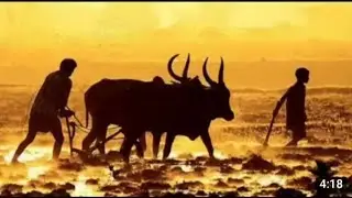 #video।। विंध्य क्षेत्र के माटी।।#बघेली_गाना।। Vindhya Kshetra Ke Mati।। vindhya geet ।। बघेली दबंग