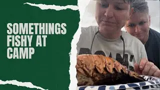 Camping at Quiet Waters Park | Lobster and Seabass by the campfire