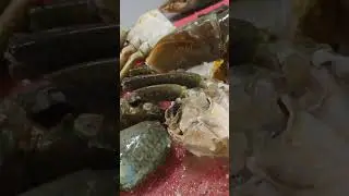 Bigh Crab Cutting skills #fishing