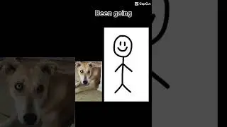 Dog meme! (My dog Sweet Pea) #doglover