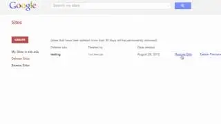 Permanently Delete a Google Site