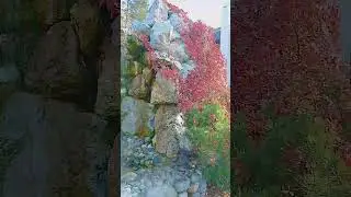 #zoonsk