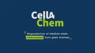 Cell4Chem | Bioproduction of Green Chemicals from Plant Biomass