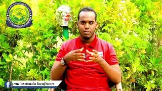 Amaanta ilaahay|Abdi xaq sheikh Yuusuf|2020