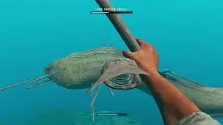 The great abaia fight  S1 EP08 I Stranded Deep