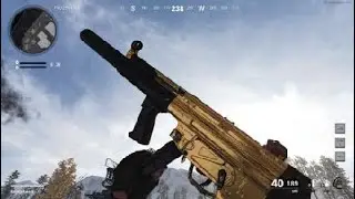 The Gold MP5 In Black Ops Cold War