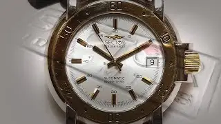 Sector Golden Eagle - Quando l'Aquila volava alta..
