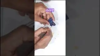 Day 7 - 7 Days 7 Clay Craft Challenge #7dayschallenge #shorts #trending #artycraftyprajakta #viral