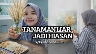 Belanja Mingguan & Masak Soto Ayam 🍲 |Tanaman Liar Jadi Hiasan Rumah‼️Cerita Harian Ina