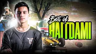 Best of Haitdami 💜