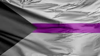 Demisexual Flag
