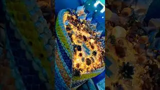 Seashell Museum Mahabalipuram | Asia's 1st Seashell Museum | World's 2nd Largest Seashell Museum