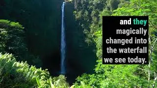 Visit Akaka Falls: Things to do on the Big Island Hawaii
