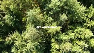 See anything? Exactly!