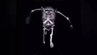Skeleton Sounds
