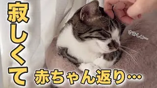次女ロスでパン職人に…寂しさと向き合う猫、そして…