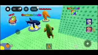 Aku dapat permintaan Berati nya 🦈🐟 (Roblox Indonesia) 