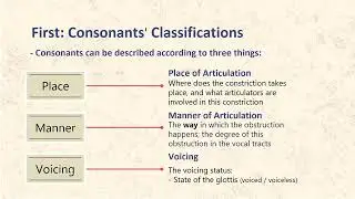 6.  Sounds + Place & Manner of Articulation