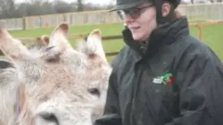 Redwings Horse Sanctuary