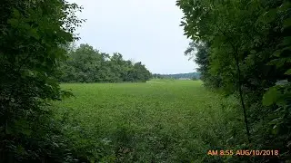 Lots And Land for sale - 25174 Armstrong Road, Laurelville, OH 43135