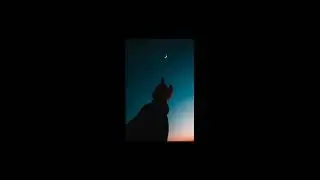 La lune - Slow down / Daycore