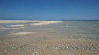 Ecomarine Algarve - Boat tours in Faro