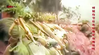In 1979 , China attacked Vietnam with 200000 troops // Китайско-Вьетнамская война 1979 года