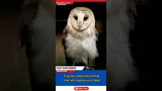 5 Endearing Animal Personalities: Quirky Characters of the Wild