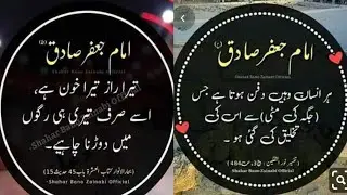 Amazing collection quotes in urdu|Best urdu quotes|