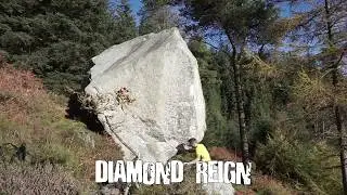 Diamond Reign SDS (7B+)