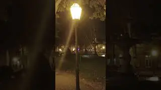 Zrinjevac❤️🌹 Zagreb