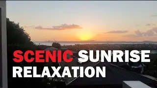 Auckland Sky in Motion ⏳ Sunrises, Storms, Sunsets & Moonrises Over the City (Timelapse)