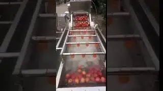 apple washing cleaning machine , bubble apple washing cleaning machine