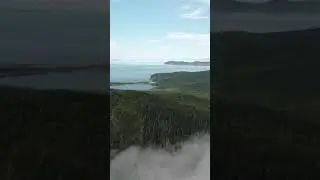 Drone view on Amazon Forest with Lake / Nature Naturety
