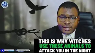 THIS IS WHY WITCHES USE THESE ANIMALS TO ATTACK YOU