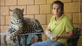 Preposterous Pets: The Jaguar That Goes For A Walk In The Park