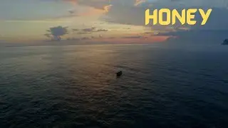 Kesha - Honey (Lyrics) 🎵
