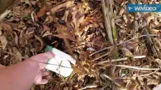 Building a Bushcraft Basecamp Part 1
