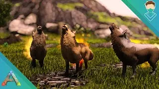 ARK Play As Dino | Je ne suis plus Humain !